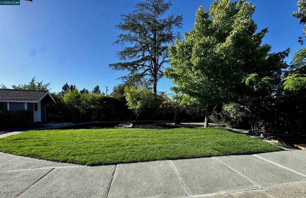 2466 Mallard Drive Walnut Creek CA 94597