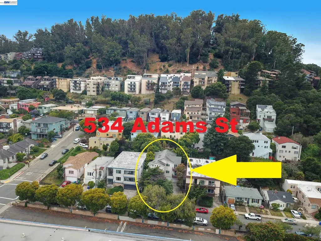 534 Adams Street Albany CA 94706