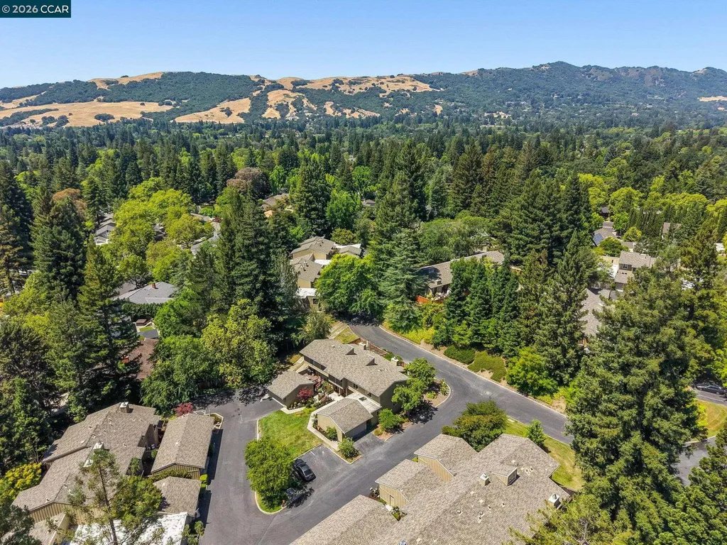 441 Sycamore Hill Drive Danville CA 94526