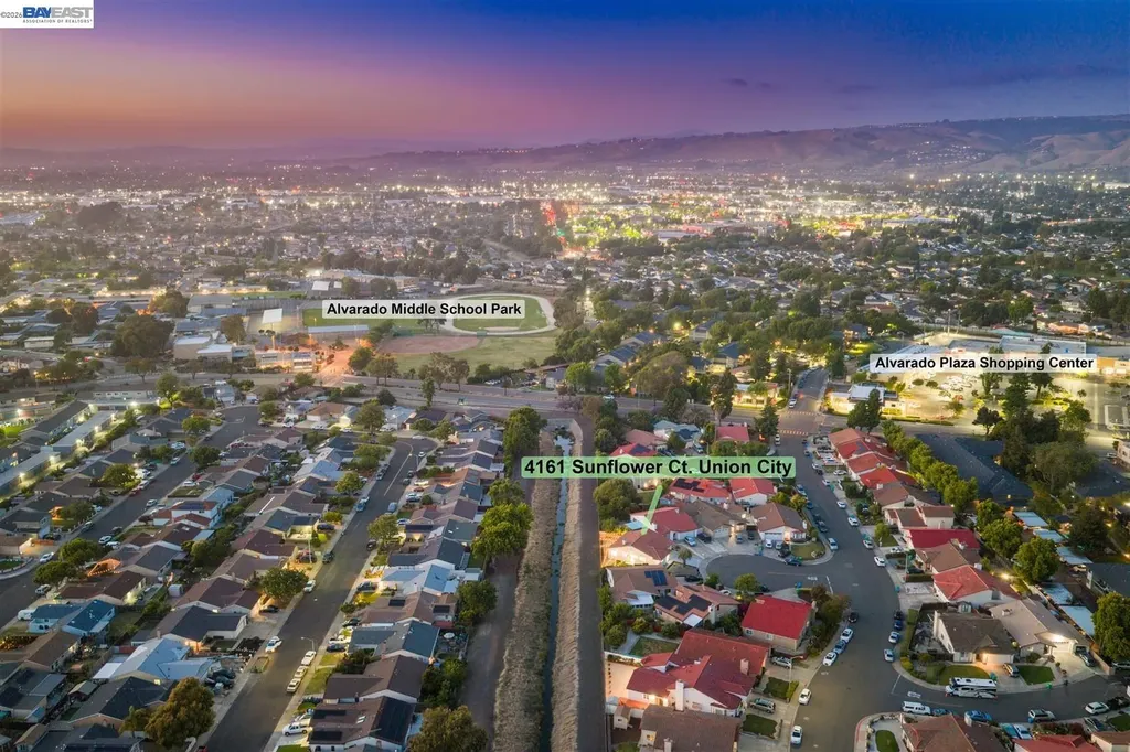 4161 Sunflower Court Union City CA 94587