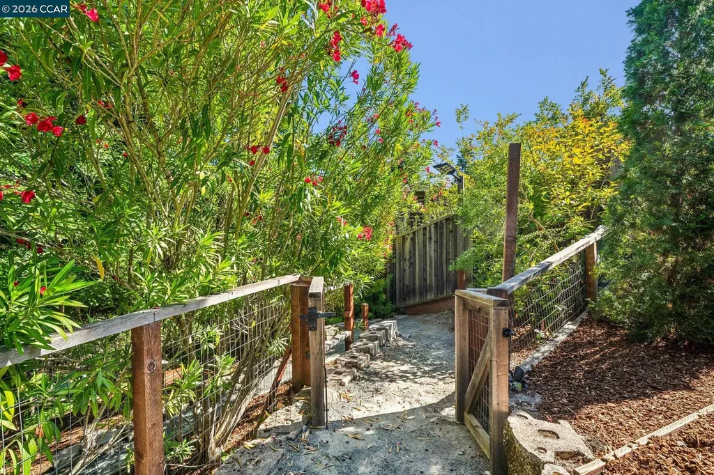 13 Homestead Court Danville CA 94506