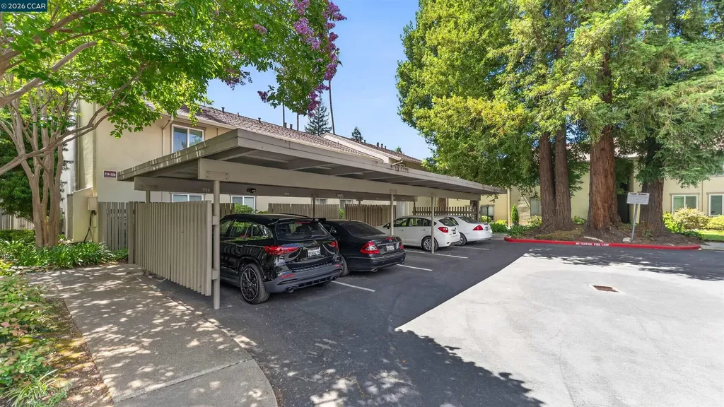 1241 Homestead Walnut Creek CA 94598