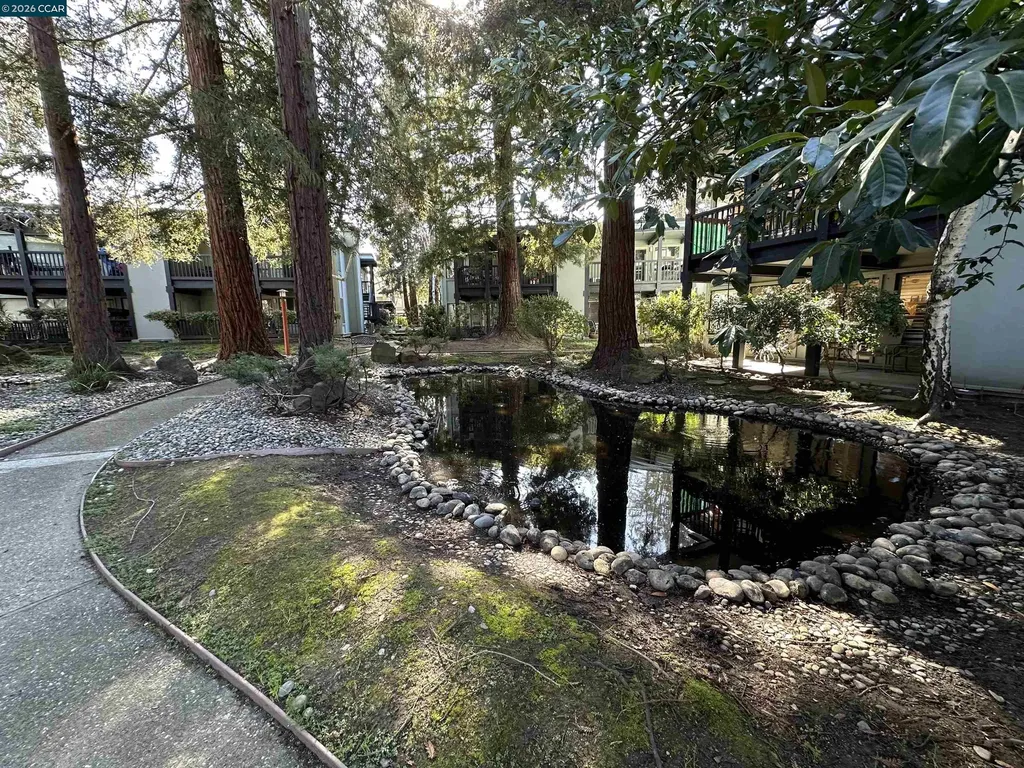 167 Rubicon Circle Danville CA 94526