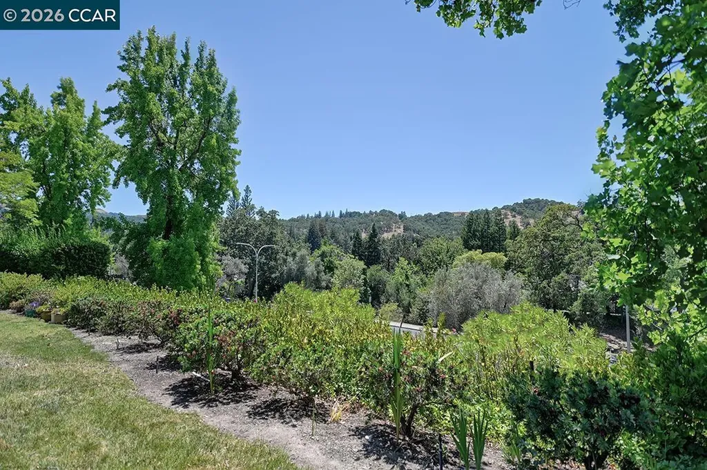 2055 Cactus Court Walnut Creek CA 94595