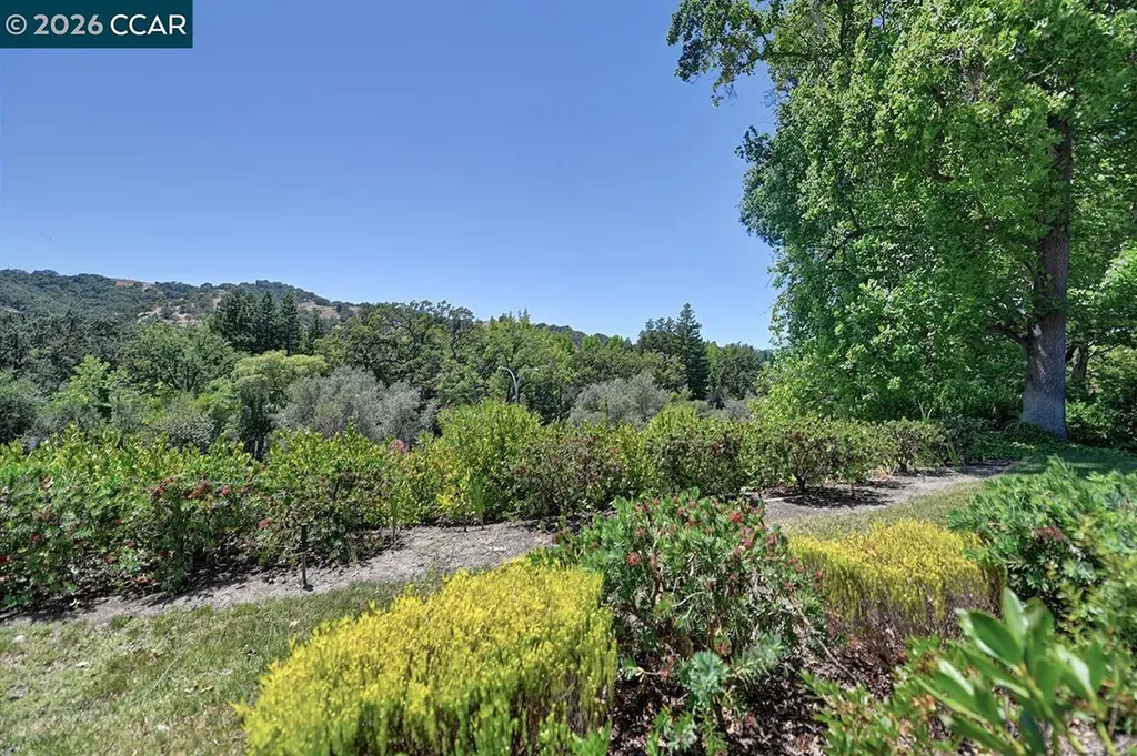 2055 Cactus Court Walnut Creek CA 94595