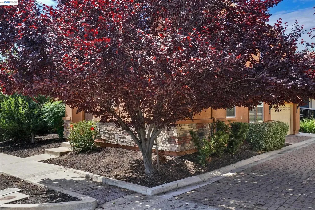 321 Cortona Way Brentwood CA 94513
