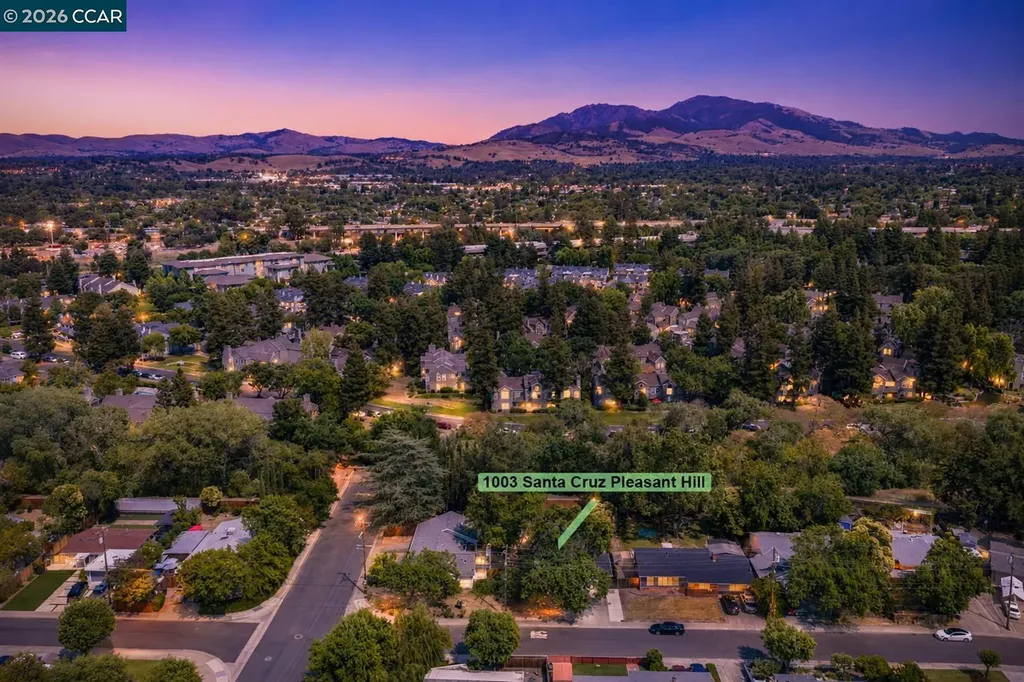 1003 Santa Cruz Drive Pleasant Hill CA 94523