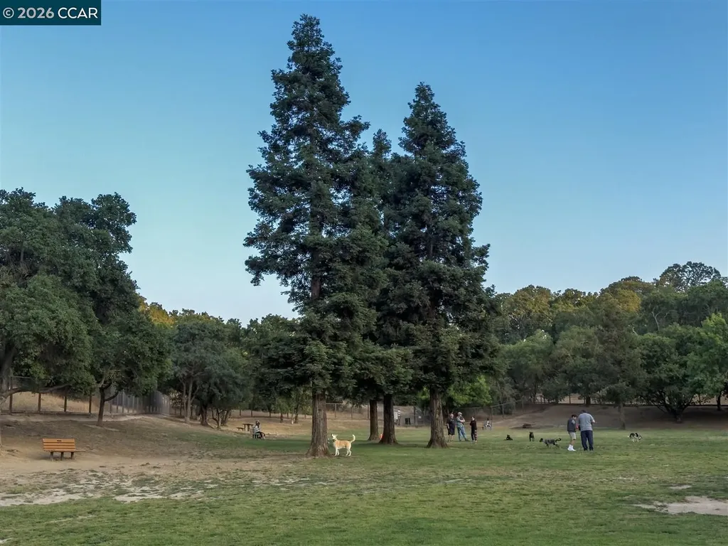 1003 Santa Cruz Drive Pleasant Hill CA 94523