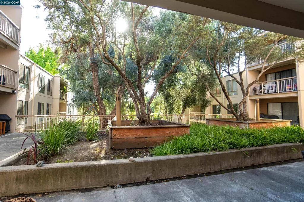 440 Civic Drive Walnut Creek CA 94596