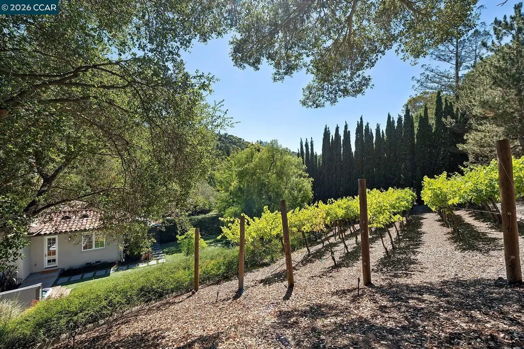 31 Sandy Court Orinda CA 94563