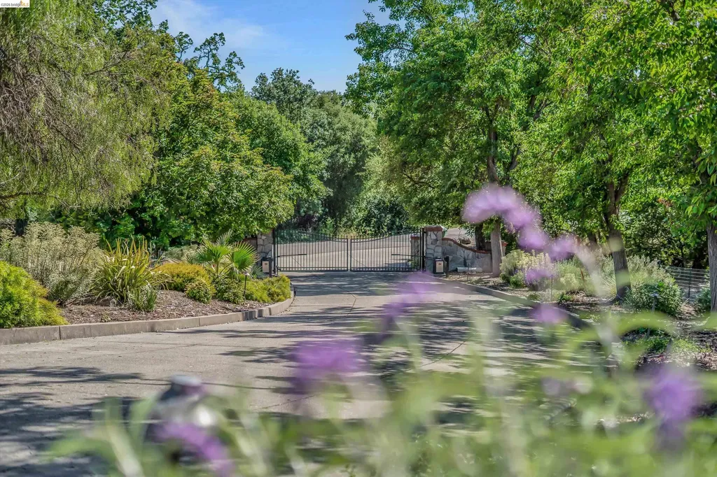 5885 Bruce Drive Danville CA 94506
