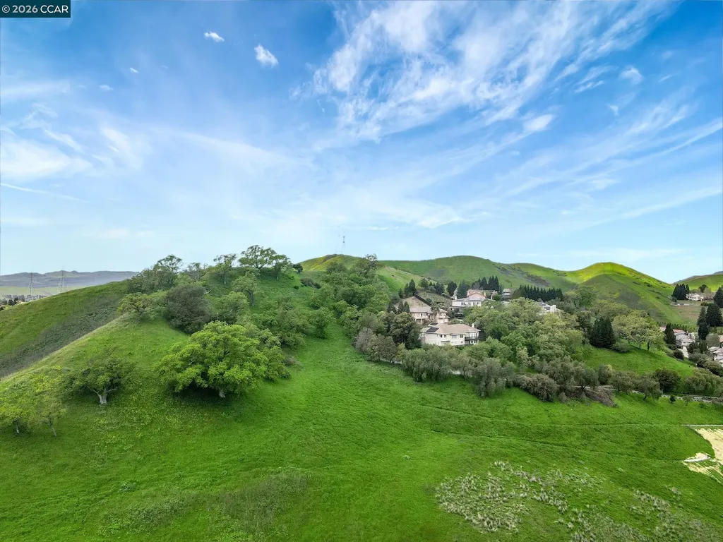 668 Sun Tree Court Danville CA 94506