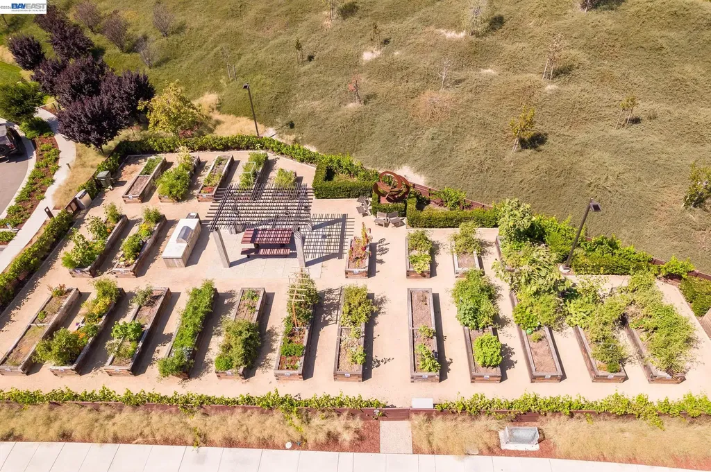 244 Fennel Way Livermore CA 94551