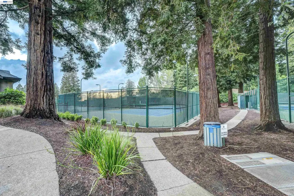 11 Tennis Club Drive Danville CA 94506