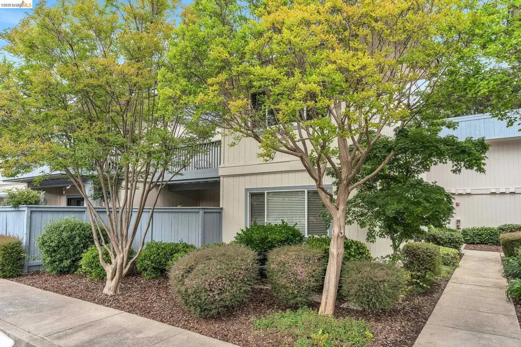 210 Chatham Court Pacheco CA 94553