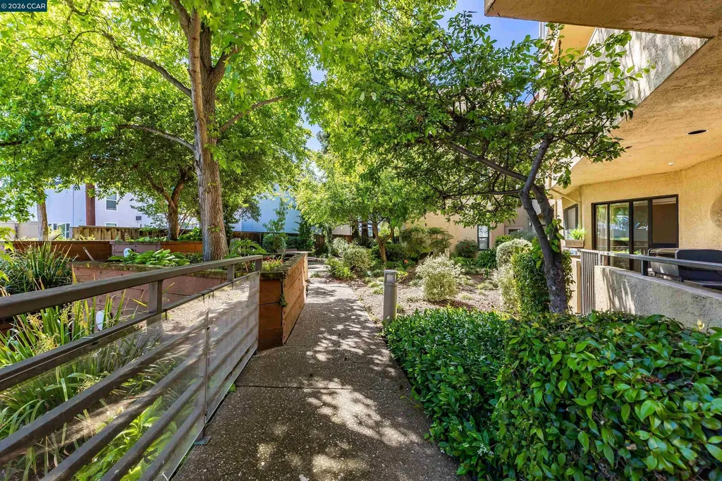 1201 Alta Vista Drive Walnut Creek CA 94596