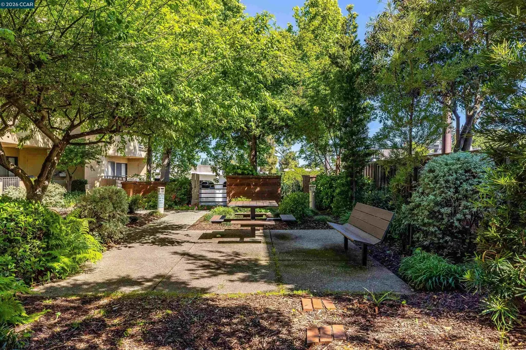 1201 Alta Vista Drive Walnut Creek CA 94596