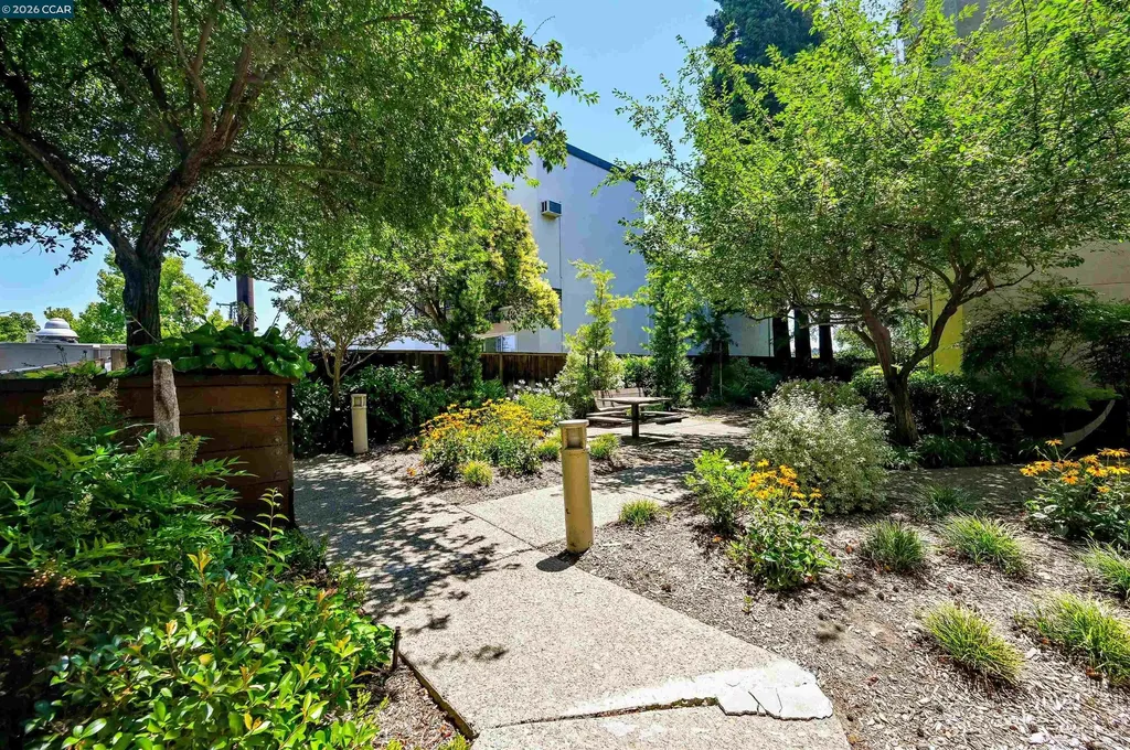 1201 Alta Vista Drive Walnut Creek CA 94596