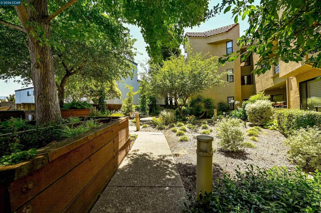 1201 Alta Vista Drive Walnut Creek CA 94596