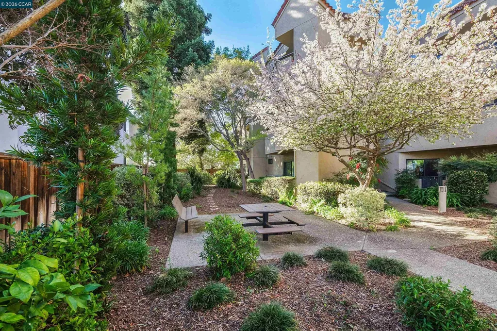1201 Alta Vista Drive Walnut Creek CA 94596
