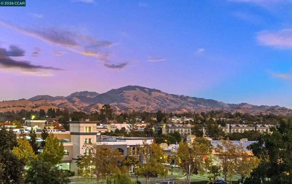 1201 Alta Vista Drive Walnut Creek CA 94596