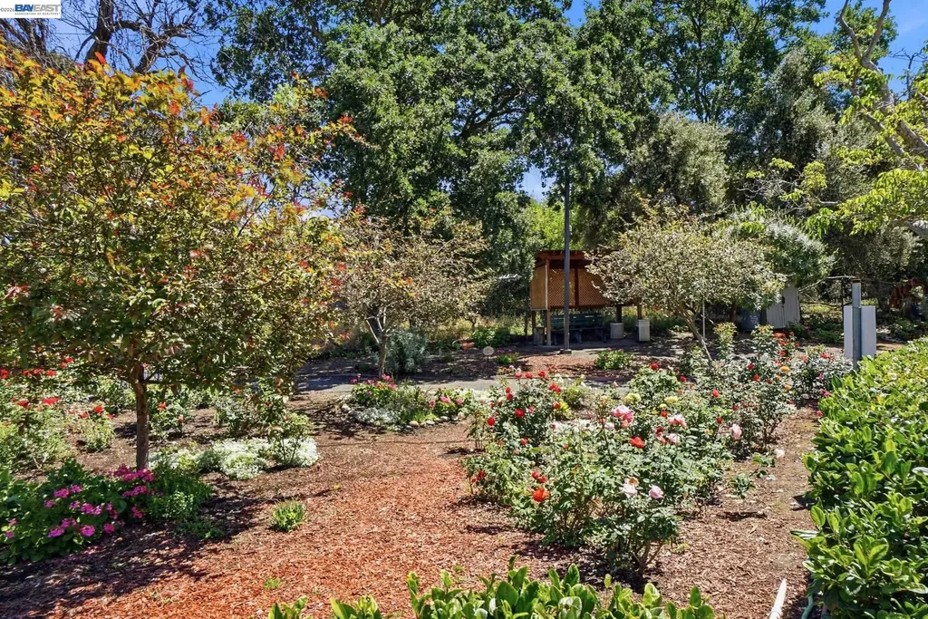 460 Civic Drive Walnut Creek CA 94596