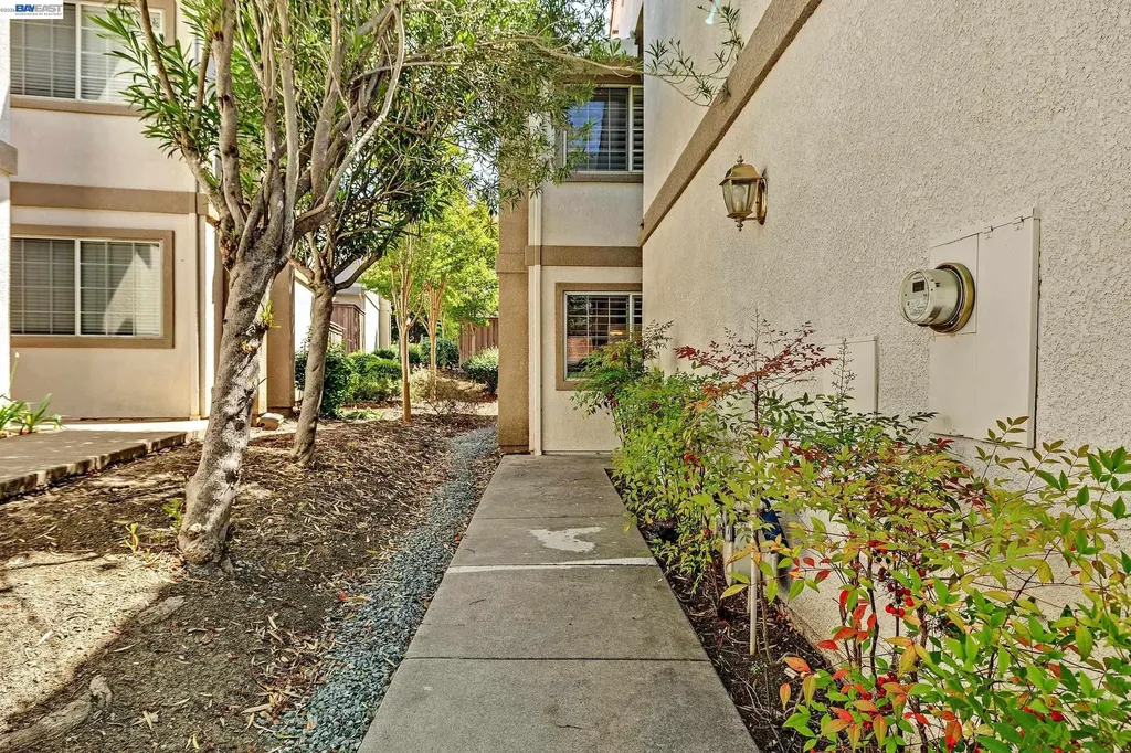 4328 Conejo Drive Danville CA 94506
