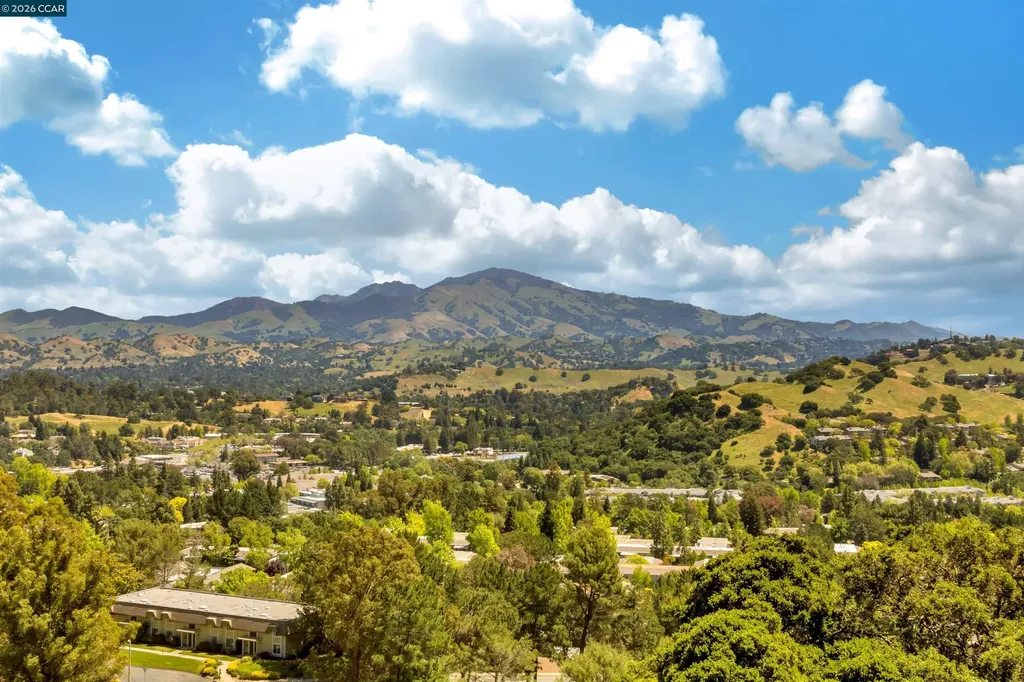 3136 Ptarmigan Drive Walnut Creek CA 94595