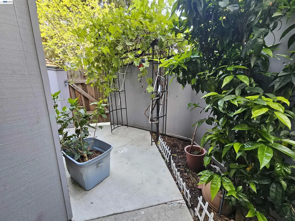 47151 Morse Terrace Fremont CA 94539