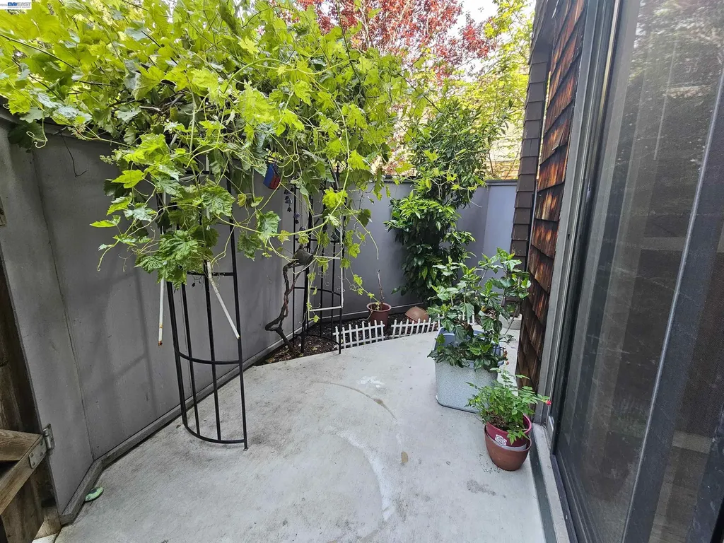 47151 Morse Terrace Fremont CA 94539