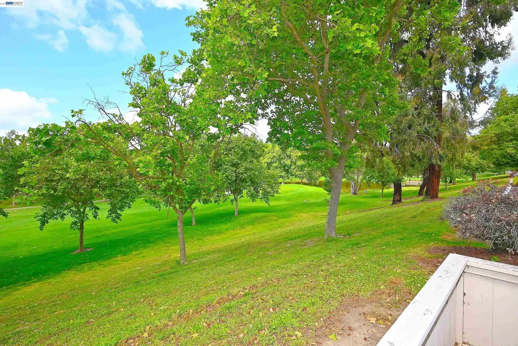 521 Silver Lake Drive Danville CA 94526