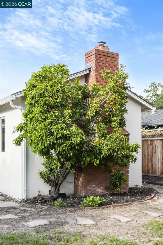 934 Juanita Drive Lafayette CA 94595