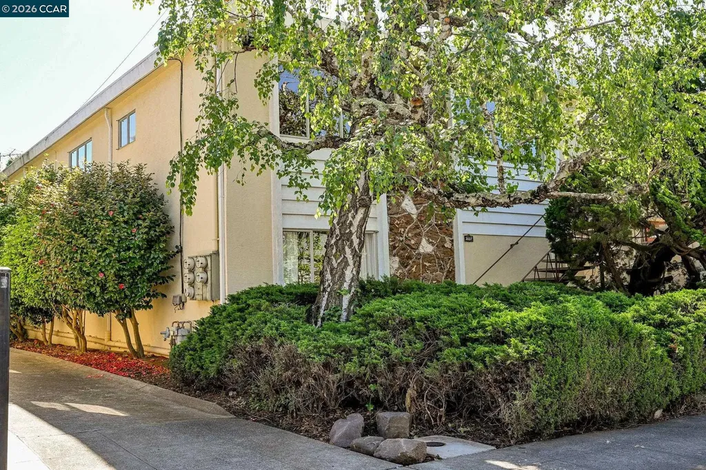 3037 College Avenue Berkeley CA 94705