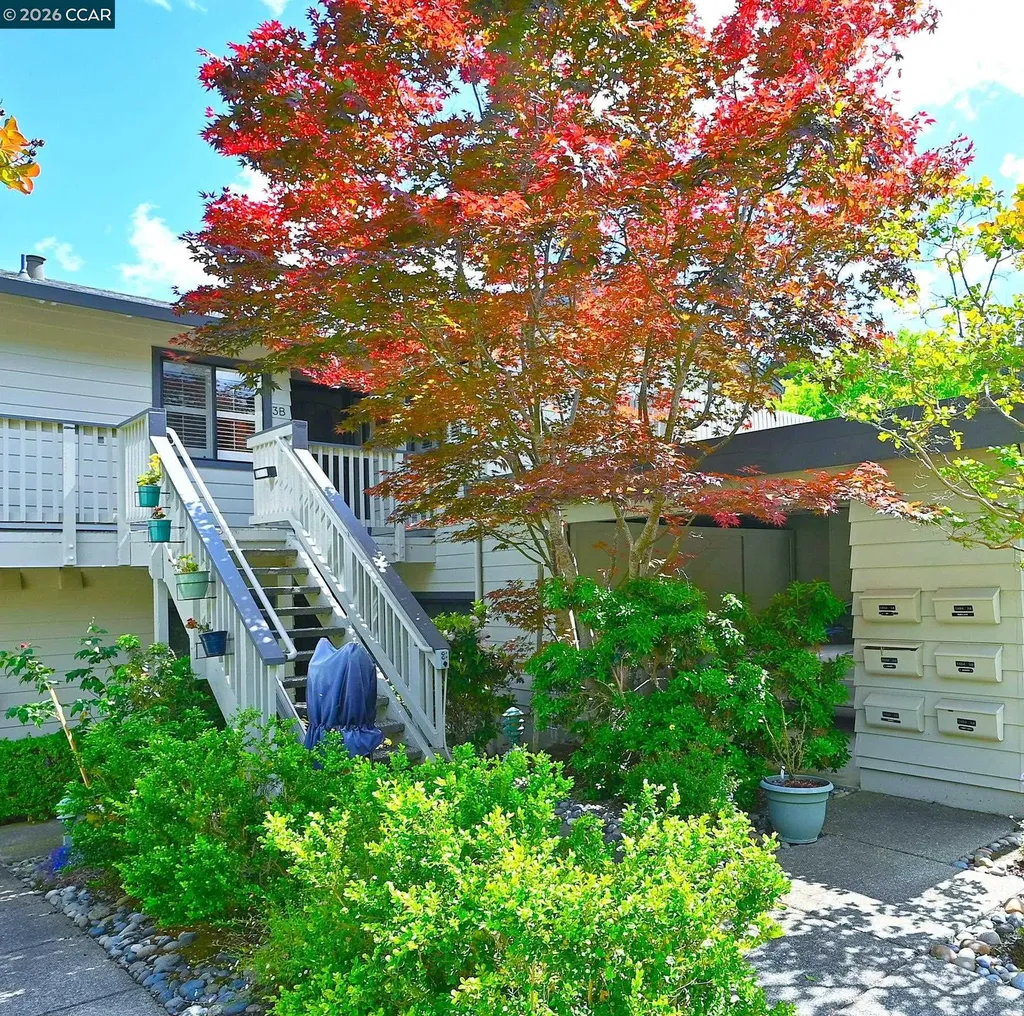 1404 Stanley Dollar Drive Walnut Creek CA 94595