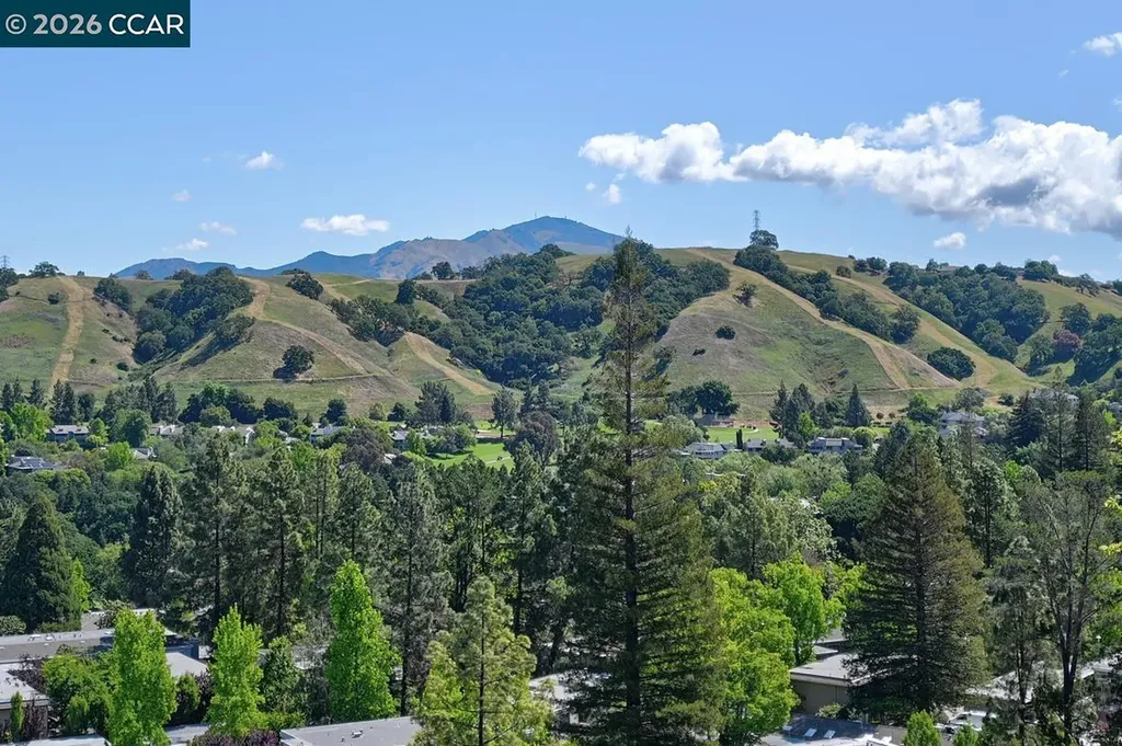 2600 Ptarmigan Drive Walnut Creek CA 94595