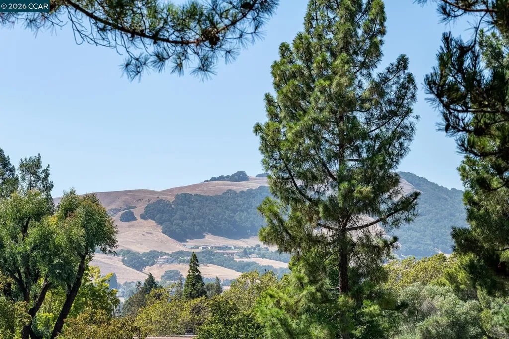 2137 Presidio Court Danville CA 94526