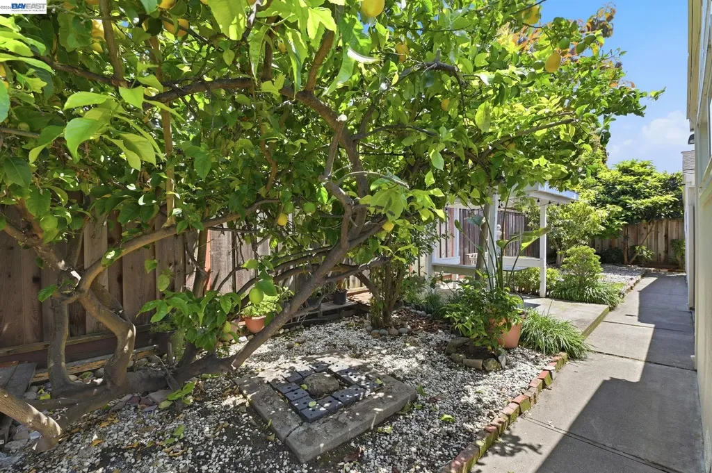 6714 Flanders Drive Newark CA 94560