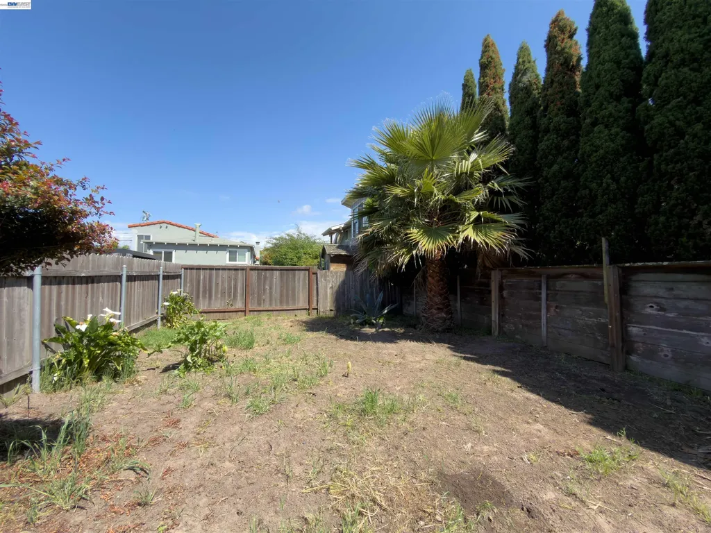 955 Jackson Street Albany CA 94706