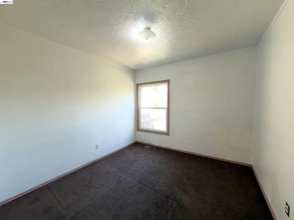 955 Jackson Street Albany CA 94706