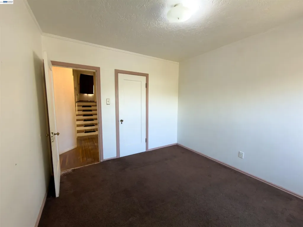 955 Jackson Street Albany CA 94706