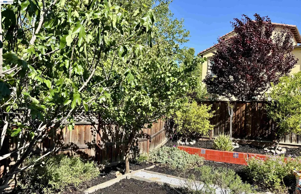 6180 Alpine Blue Drive San Ramon CA 94582