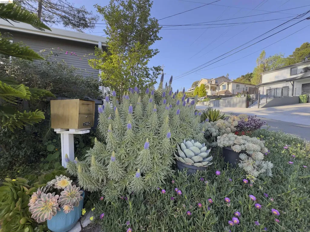 7907 Michigan Avenue Oakland CA 94605