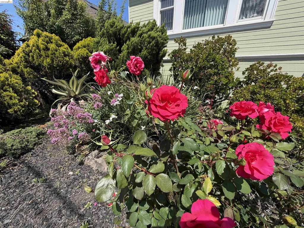 1028 61st Street Oakland CA 94608