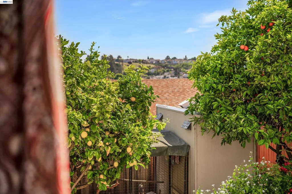 18419 Clifton Way Castro Valley CA 94546