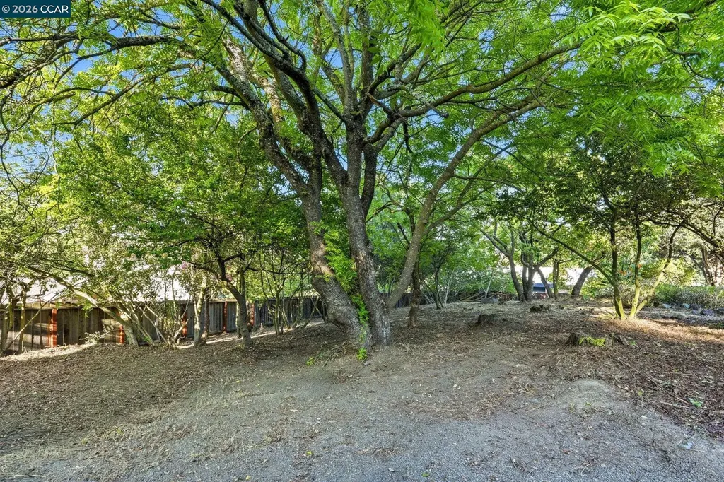 143 Montecito Crescent Walnut Creek CA 94597