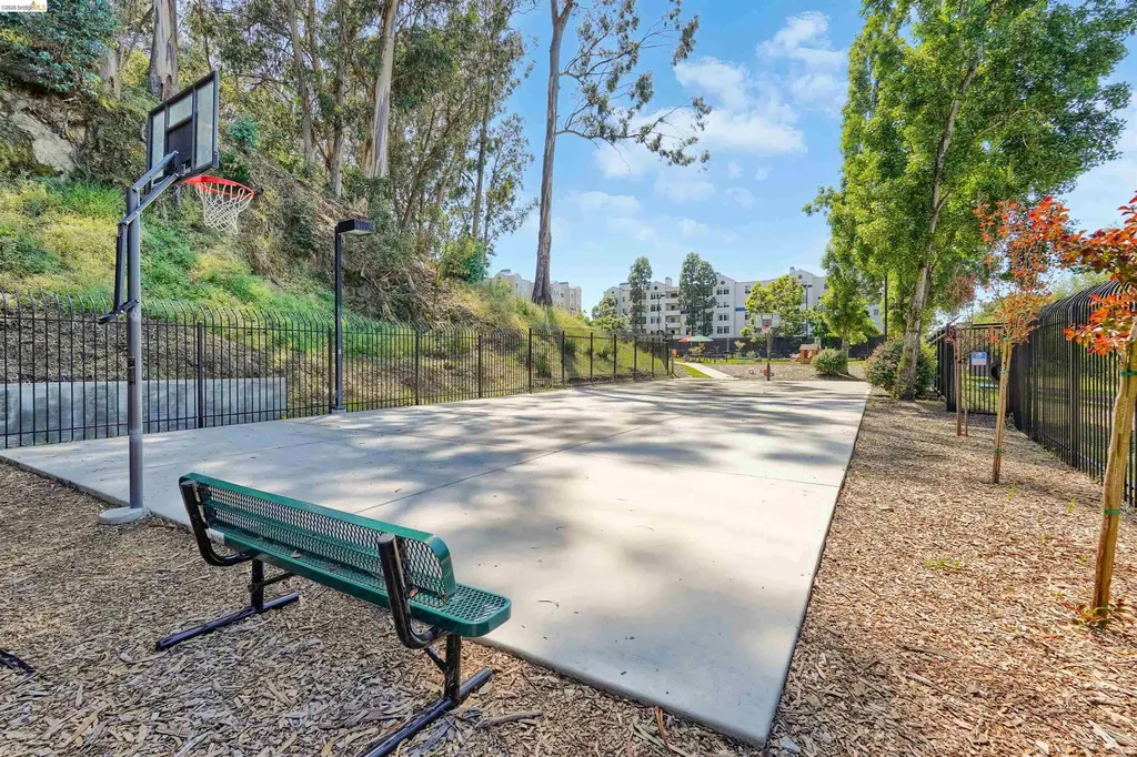 535 Pierce Street Albany CA 94706