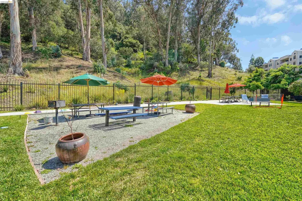 535 Pierce Street Albany CA 94706
