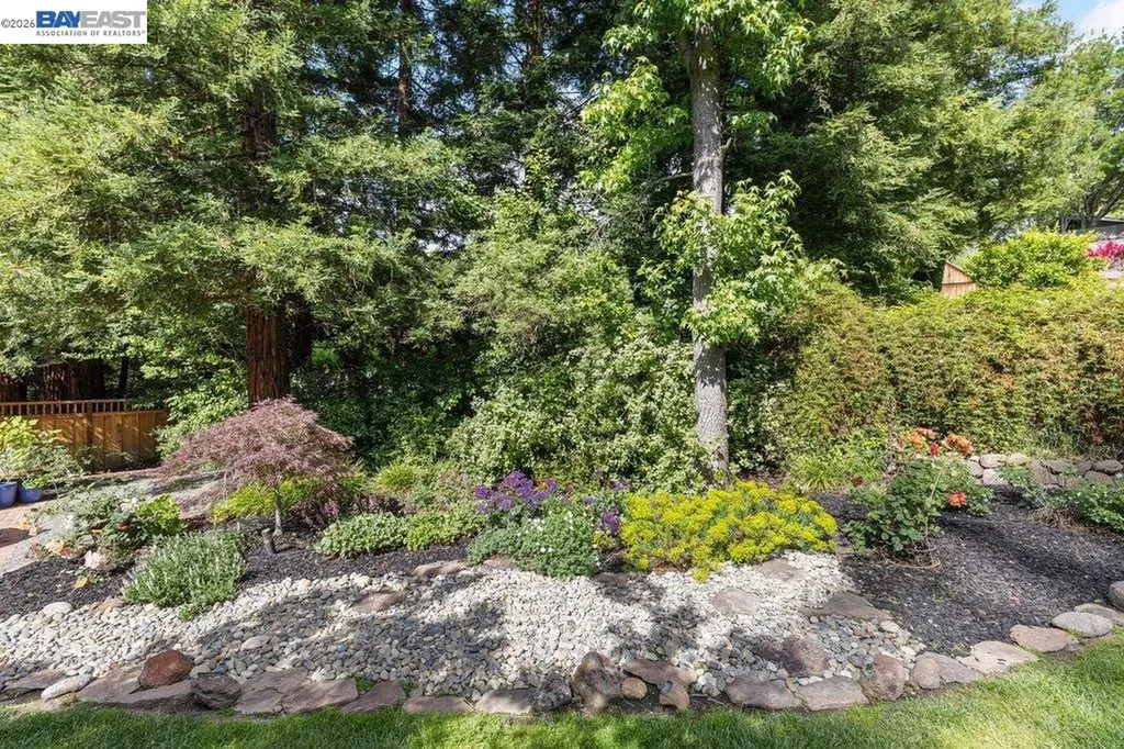 31 Arjang Court Alamo CA 94507