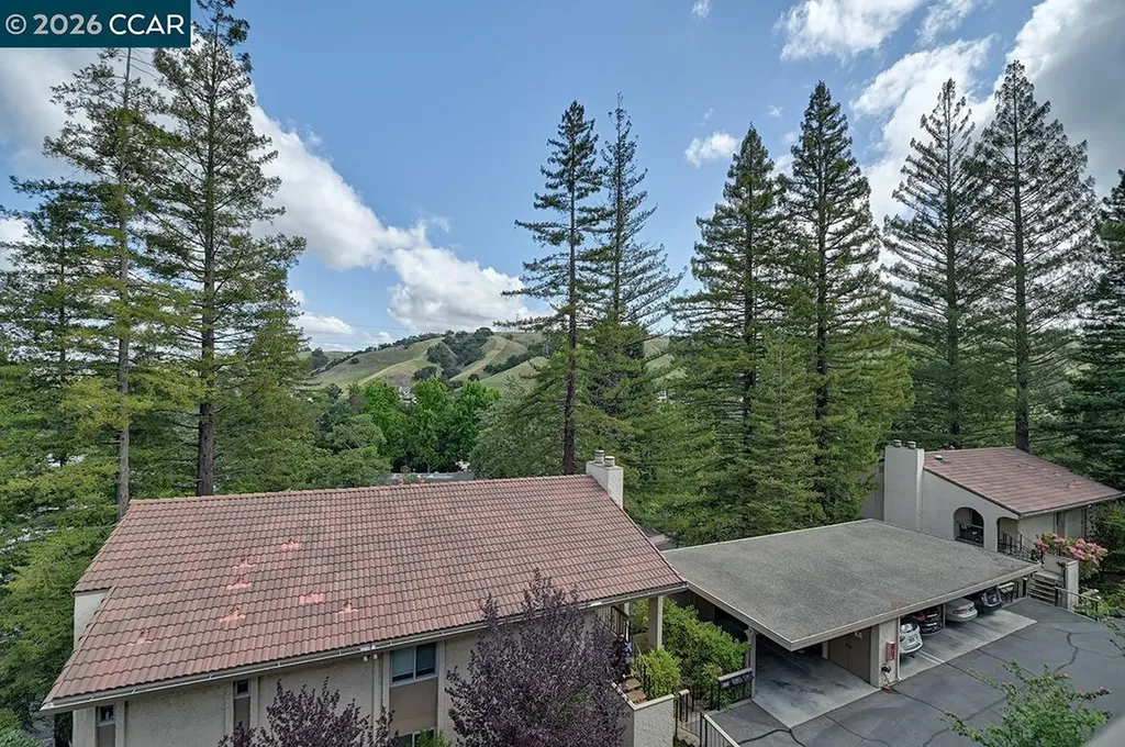 1129 Avenida Sevilla Walnut Creek CA 94595