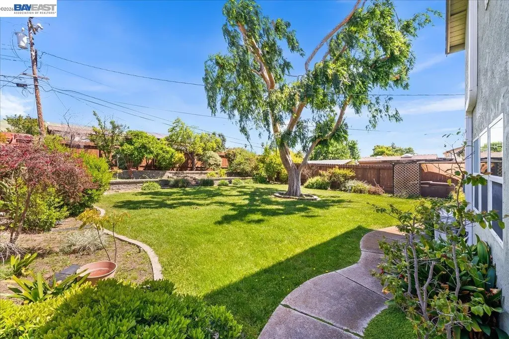 48260 Conifer Street Fremont CA 94539